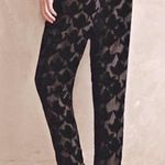 Anthropologie  Harlyn Sienna Black Floral Velvet Pants Photo 2