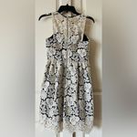 Club Monaco  Jayla Lace Dress Ivory Navy Gold Fit and Flare Sz 00 Photo 1