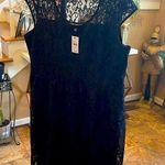 Lane Bryant Nwt PLUS SIZE LACE DRESS Photo 0