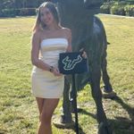 Aritzia  Satin Dress Photo 1