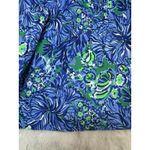 Lilly Pulitzer  Coulter Long Sleeve Popover Top Size L Multicolor Photo 2