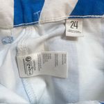 BDG Joey Striped Straight Leg Pant Blue White Cotton Size 24 NWT Photo 6