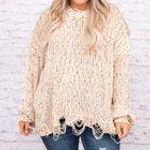 JODIFL  Distressed Knit Colorful Sweater Photo 0