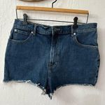 Everlane Medium Wash Size 32 The Way High Denim Cut Off Shorts Photo 5