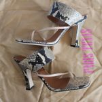 Paris Texas Python Snake Photo 4