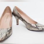 Karen Scott  Python snakeskin “Clancy” pointy toe 3” heel size 9 1/2 M Photo 0