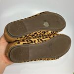 Vionic  Minna animal print ballet flats comfort Shoes size‎ 7 wide Photo 6