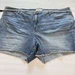 Torrid  Medium Wash 6‎ Inch Vintage Stretch High-Rise Denim Shorts Size 30 Photo 9