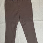 Dress Barn  | Brown Straight Leg Stretch Jeans | Size 12 Photo 0
