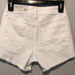 Just USA  Shorts Photo 1