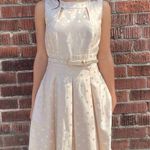 Tahari  polka dot light pink belted dress sz 2 Photo 1