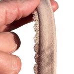 Victoria's Secret  Body by Victoria Lined Demi Lace Bra Blush Pink Size 38D Photo 3