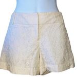 Loft Ann Taylor cream lace back pocket shorts Photo 0