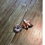 Vintage Cherub Angel Holding Heart Gold Tone Metal Lapel Pin Photo 3