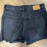 Aritzia Denim Shorts Photo 1