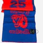 Gucci  Tiger Jacquard Scarf L'Aveugle Par Amour Photo 9