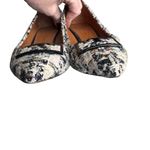 Tory Burch - Gigi Tweed Pointed-Toe Pumps Sz 8.5 Photo 4