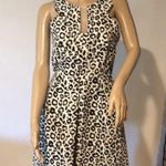 W118 By Walter Baker NWT W118 Walter Baker Reba Cheetah Fit & Flare Black and White Size Small Photo 3