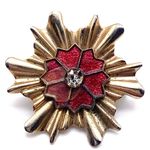 Vintage enamel starburst brooch pin Red Photo 0