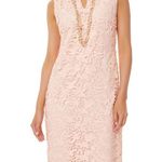 Ming Wang  Battenberg Pink Floral Lace Sheath Dress Photo 9