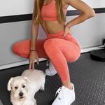 Gymshark Vital Seamless Leggings And Bra Photo 0