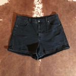 American Eagle  mom shorts  size 14 Photo 0