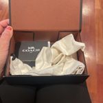 Coach NWT  LIMITED EDITION SPACE RIVETS EMBELLISHED REXY COIN CASE Photo 4