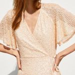 ZARA  Sequin Sheer‎ Flounce Sleeve A-Line Wrap Mini Dress Blush Pink Size Medium Photo 5