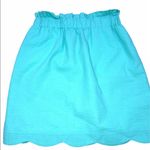 Lauren James  size xsmall preppy seersucker skirt Photo 2