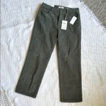 Kensie  Green Straight Leg Pants with Classic Design Photo 5