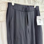 Zyia NWT  Black Presidio Peak Pants Photo 2