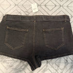 Windsor NWT  Shorts Photo 1