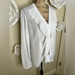 Boston Proper White Sheer Button Down Ruffle Feont Blouse with Darts Sz 16 Photo 6