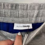AlphaTauri Grey Athletic Skirt Gray Size L Photo 4