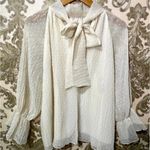 ZARA  Swiss Dot Bow Photo 6