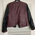 Bernardo LG B Collection Burgundy moto Jacket Photo 1