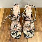 Schutz Animal Leather Heeled Sandals Lover Mid Pin Heel Size 7 snake print Photo 0