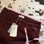MAISON HOTEL Paula Pant In Brick Brown Size Large NWT Photo 5