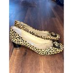 Diane Von Furstenburg Bonnie Calfhair Pumps w/ Gold Buckle Size 6.5 EUC!! Photo 4