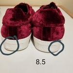 Circus by Sam Edelman Sam Edelman Shoes Sneakers Cranberry Velvet Shoe 8.5 Photo 6