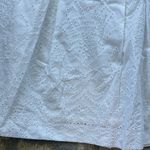 Talbots Petites Eyelet Lace Pleated A-Line Skirt White 4P Photo 1