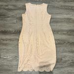 Calvin Klein PINK laser cut scuba sheath dress- size 10 Photo 6