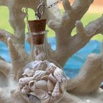 Sweet Lemons Real Miniature Seashells in a Glass Bottle Necklace  Photo 2