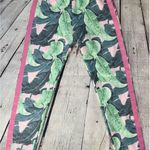 Wildfox Martinique Knox Jogger Pant NWT! Photo 7
