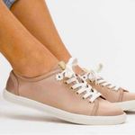 Jack Rogers Sneakers Lia Satin Sneaker in Champagne Sz 10 NEW IN BOX NIB Photo 1