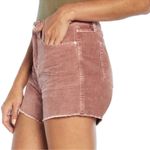 Gap  Women's Pink Jean Shorts Photo 1
