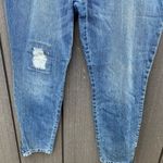 American Rag American‎ Rag Jeans Photo 5