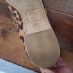 Leopard print dolce Vida short boots size 11 women's super cute Black Photo 4