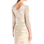Adrianna Papell  Long Shutter Pleat Shimmer Dress Lace Bodice Womens‎ Size 10 Photo 1