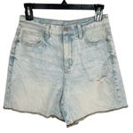 American Eagle New Rainbow embroidery High rise acid wash shorts light blue sz 6 Photo 1